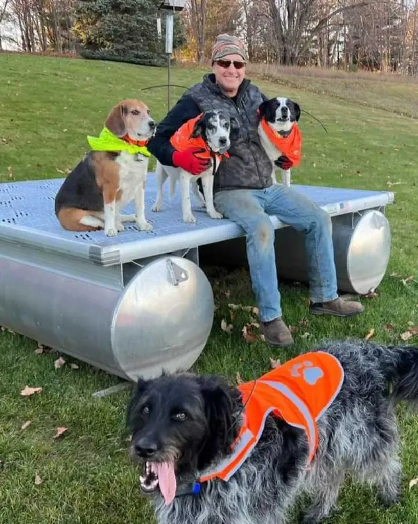 My dogs: (left to right) Huckleberry, Roxy, Daisy up top and Toby in the grass