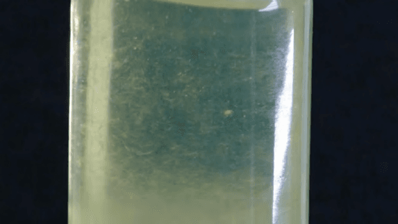 Wax crystals in untreated diesel fuel. The wax crystals will eventually fall out of solution and plug the fuel filter.